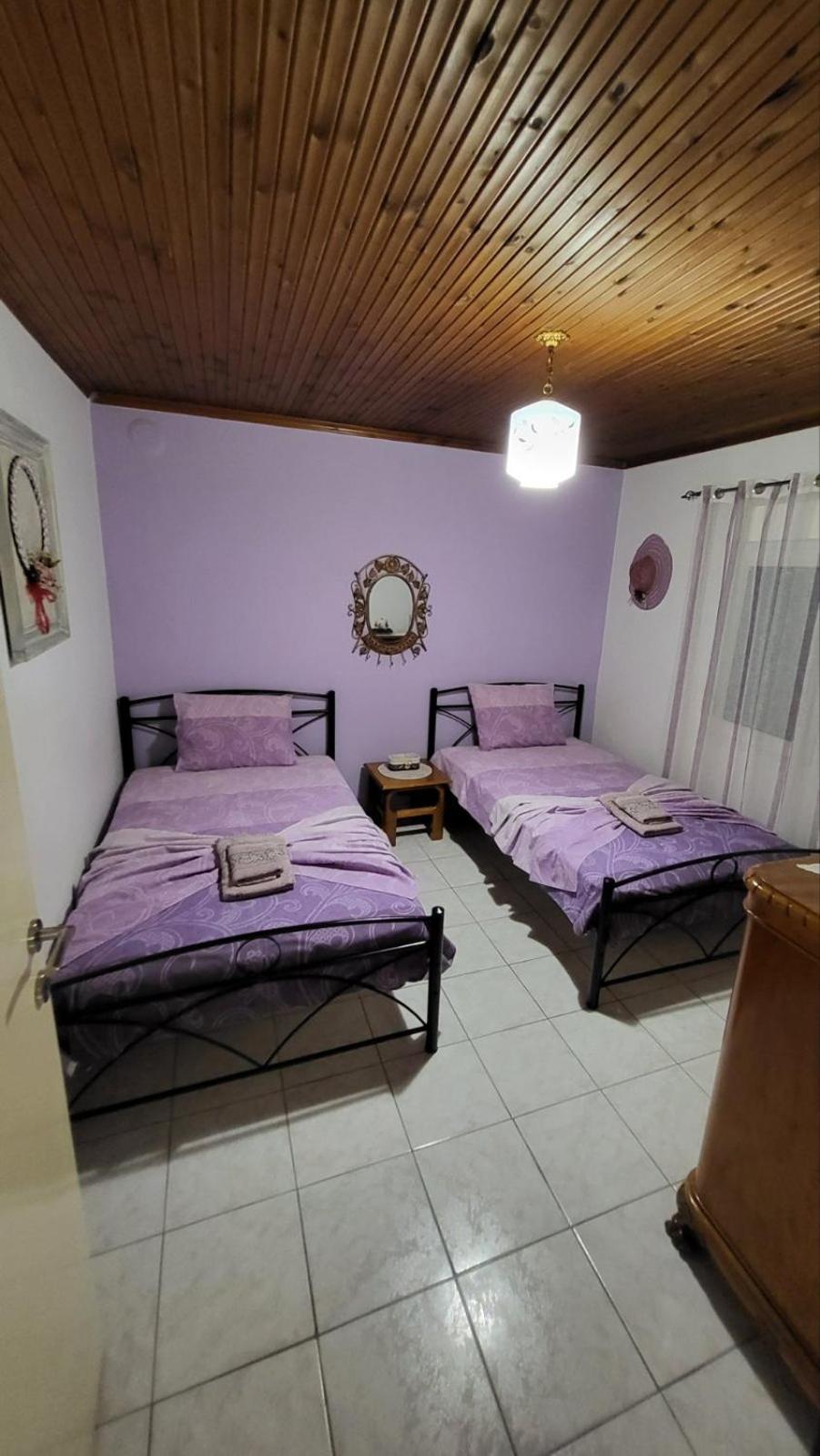 Housebutterfly Torone Quarto foto