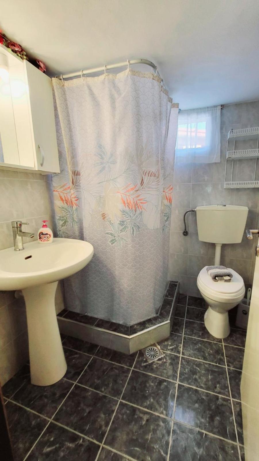 Housebutterfly Torone Quarto foto