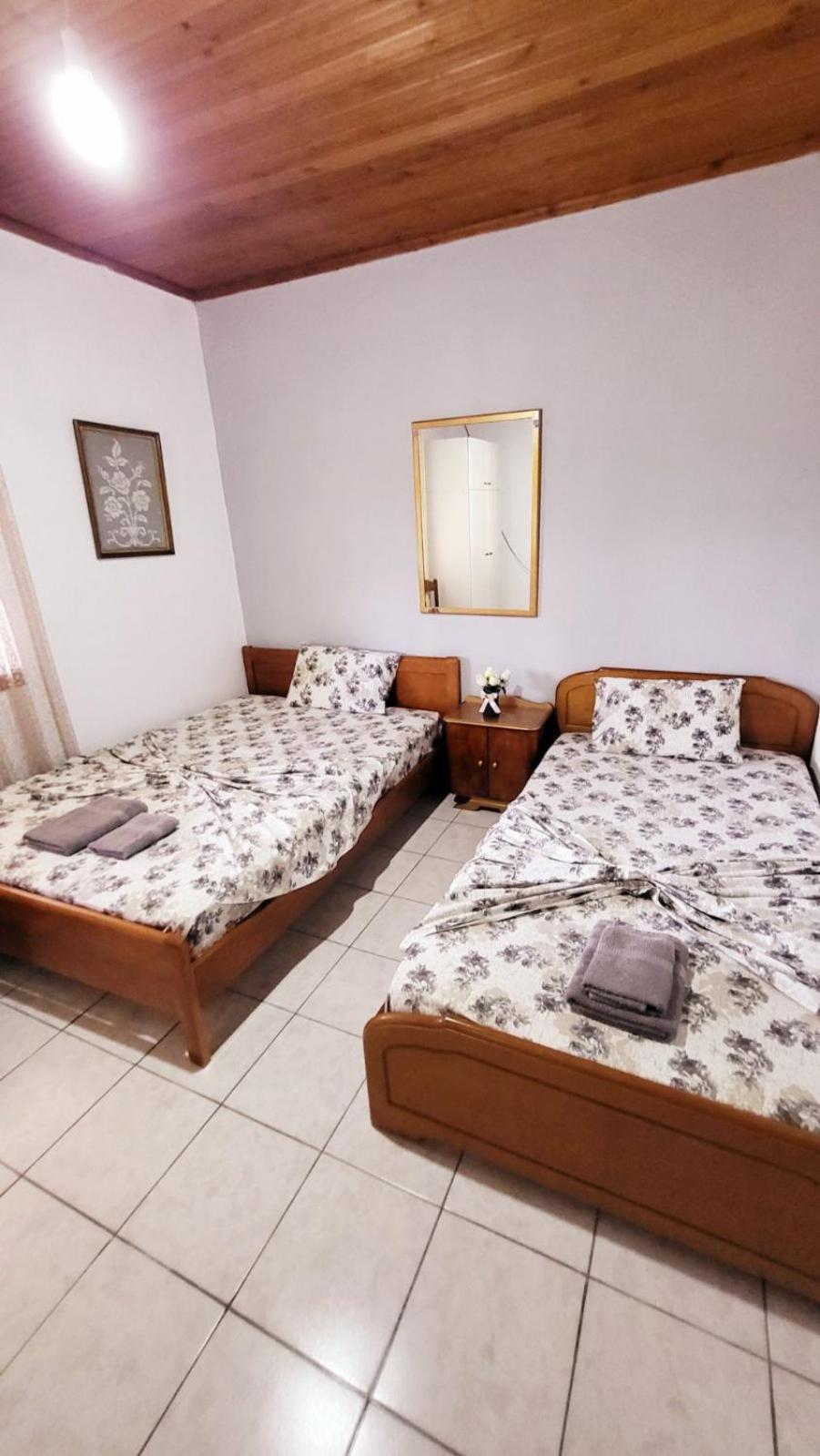 Housebutterfly Torone Quarto foto