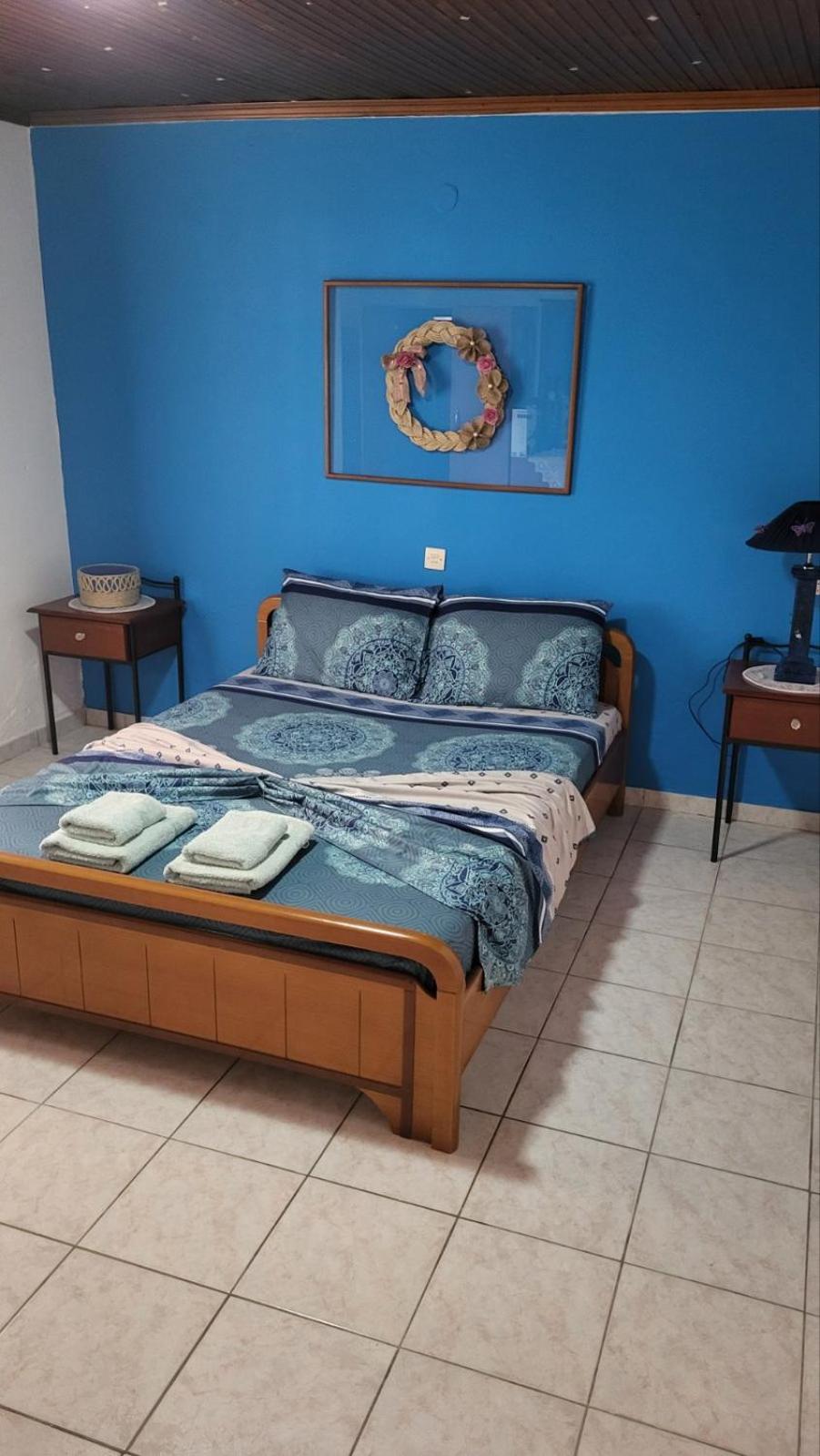 Housebutterfly Torone Quarto foto